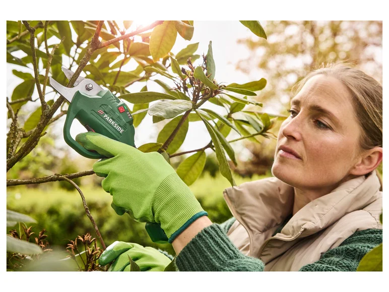 PARKSIDE® Sécateur de jardin sans fil 4 V PGSA 14 A1